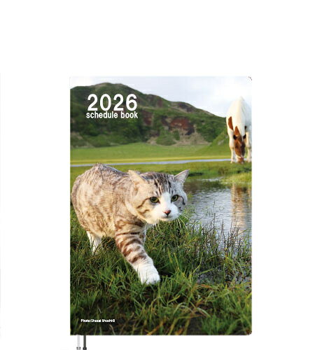 Rakuten - 【予約販売】 旅猫 ニャン吉 2026年 A5スケジュール帳 A526270