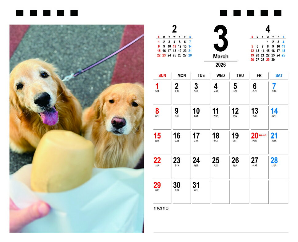 ��ͽ������� ����&������ ������ǥ��ȥ�С� �� 2026ǯ ��� �������� TA26287