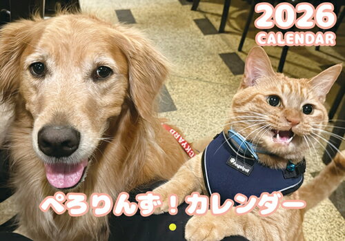 【予約販売】 ぺろりんず！ ゴールデンレトリバー 犬＆保護猫 2026年 壁掛け カレンダー KA26290
