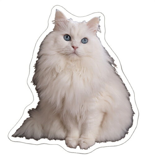 Rakuten - 【予約販売】 あつまれちいかまの森 猫 シール 5枚セット SE020NN
