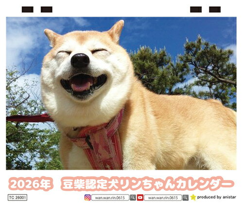 【予約販売】 豆柴認定犬リンちゃん 2026年 卓上 カレンダー TC26295