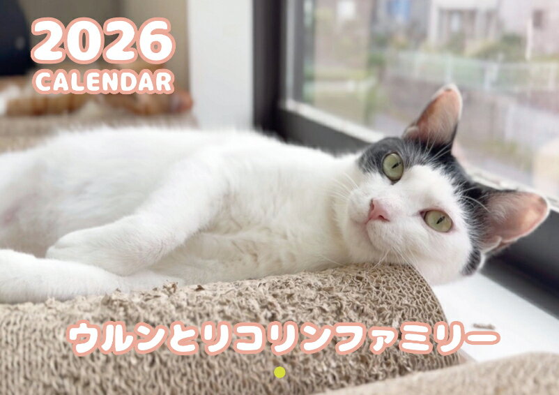 【予約販売】 猫のウルン＆リコリン 2026年 壁掛け カレンダー KK26297
