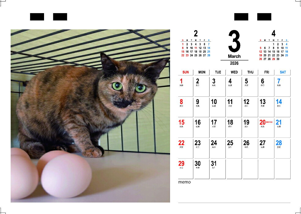 ��ͽ������� ǭ�Υ������ꥳ��� 2026ǯ ��� �������� TC26298