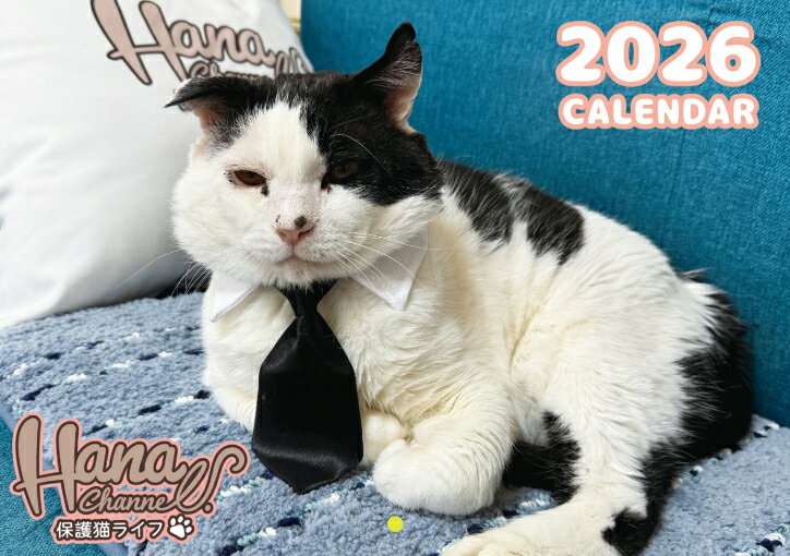 【送料無料】壁掛けカレンダー 【大きさ】　片面A4サイズ　見開き両面A3サイズ 【送料は無料】となります。 【包装】 価格を最小限まで抑えてファンの方に提供しておりますので包装は簡易的になります。 包装による商品の破損の場合はご連絡いただければ対応させていただきます。 --------------------------------------------- 【重要】 ●【年内に到着ご希望の場合は12月8日】までにご注文ください。 ●【印刷部数が無くなり次第終了】しますのでお早めにご注文をお待ちしております。 ●【注文後必ずメールが届いているか確認してください】（迷惑メールおよび、受信拒否されていないか確認ください。） --------------------------------------------- 【予約販売 配送時期】 ●第1回目配送● ◎［〜11月8日］までにご注文の方［11月20日］より随時発送 ●第2回目配送● ◎［11月9日〜12月8日］までにご注文の方［12月20日］より随時発送 ●第3回目配送● ◎［12月9日〜12月31日］までにご注文の方 ［年明け営業日］より随時発送 --------------------------------------------- 【配送につきまして】 ※クロネコメール便で送付しますので時間指定はできません。 ※※注意　注文前に必ずお読みください※※ ◎スマホ等の携帯メールアドレスですと返信メールが届かない場合がございます。 ◎住所は必ず間違えないように最後までご記載ください。 ●再配送の場合は別途送料200円がかかります。 ◎配送時に引っ越しなどをされた場合はクロネコメールですので必ず追跡をご確認いただき直接クロネコヤマトにご連絡ください。●第1回目配送● ◎［〜11月8日］までにご注文の方［11月20日］より随時発送 ●第2回目配送● ◎［11月9日〜12月8日］までにご注文の方［12月20日］より随時発送 ●第3回目配送● ◎［12月9日〜12月31日］までにご注文の方 ［年明け営業日］より随時発送