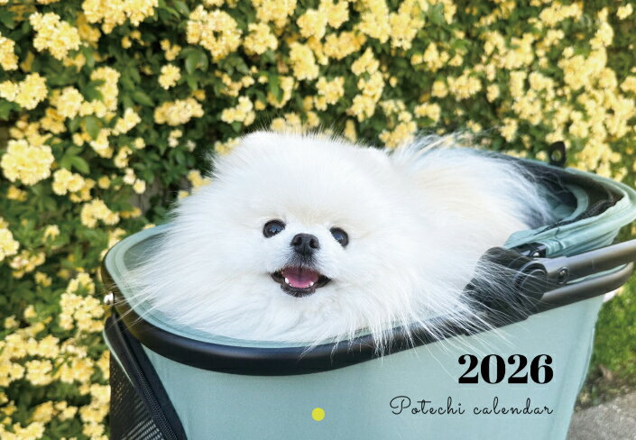 【予約販売】 ポテチ 犬 猫のレモンと犬のポテチちゃんねる 2026年 壁掛け カレンダー KA26304