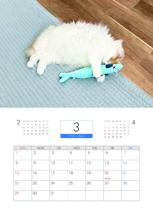 【予約販売】 レモンとポテチ 猫 犬 猫のレモンと犬のポテチちゃんねる 2026年 壁掛け カレンダー KA26305 3