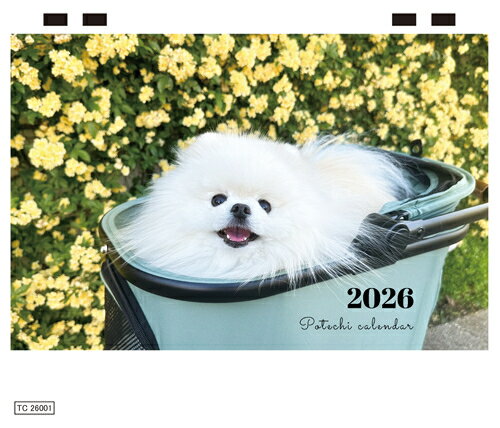【予約販売】 ポテチ 犬 2026年 卓上 カレンダー TC26307