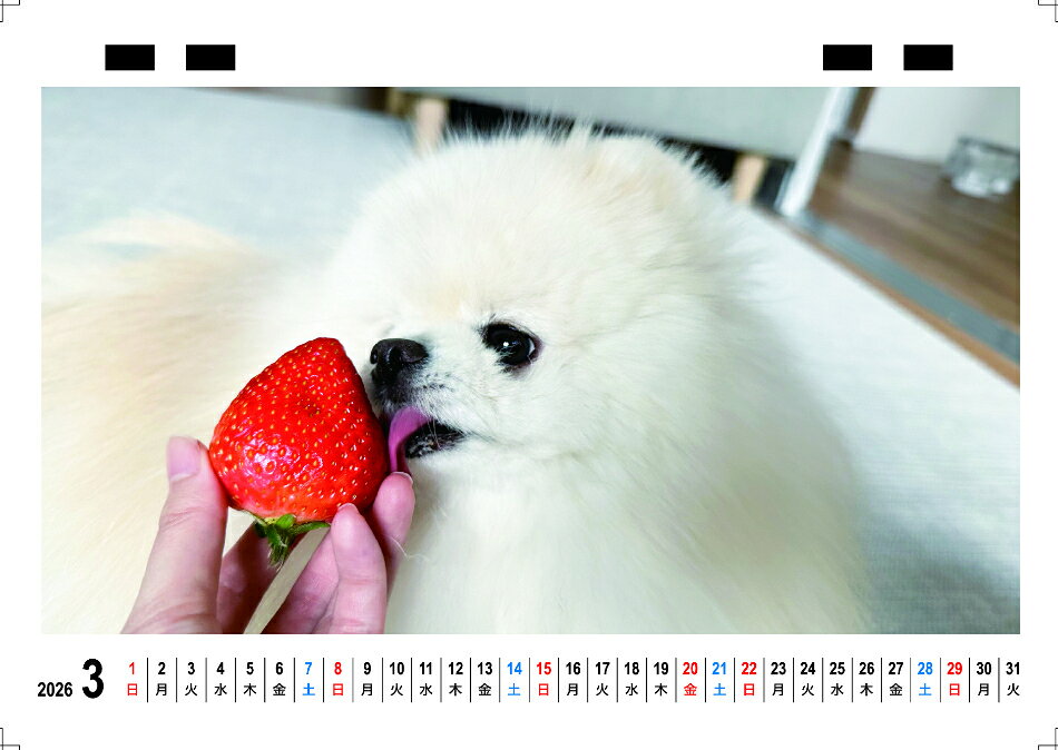 ��ͽ������� �ݥƥ� �� ǭ�Υ���ȸ��Υݥƥ������ͤ� 2026ǯ ��� �������� TC26307