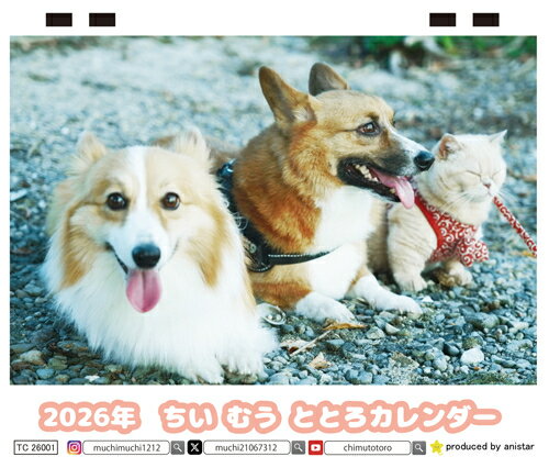 Rakuten - 【予約販売】 ちい むう ととろ コーギー 猫 2026年 卓上全面 カレンダー TC26031