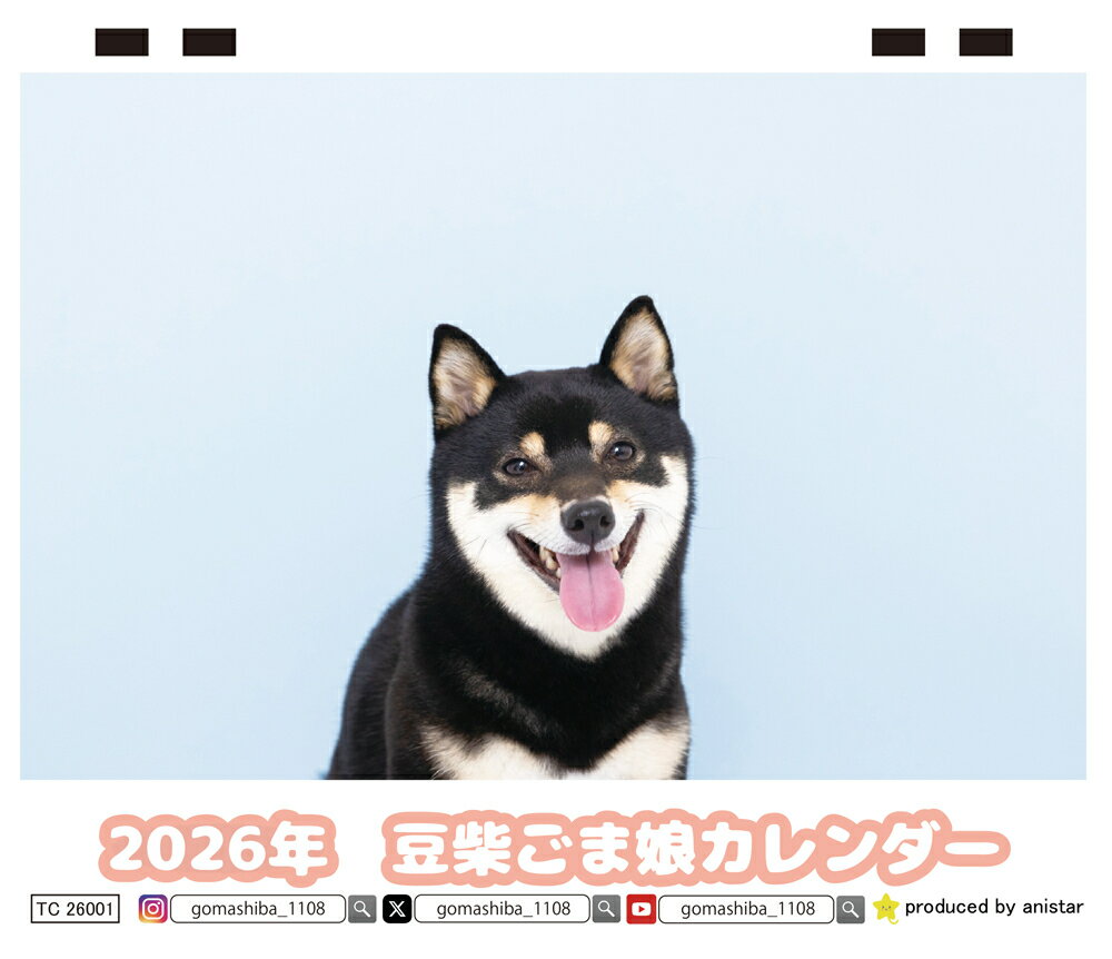 【予約販売】 豆柴ごま娘 犬 2026年 卓上 カレンダー TC26316