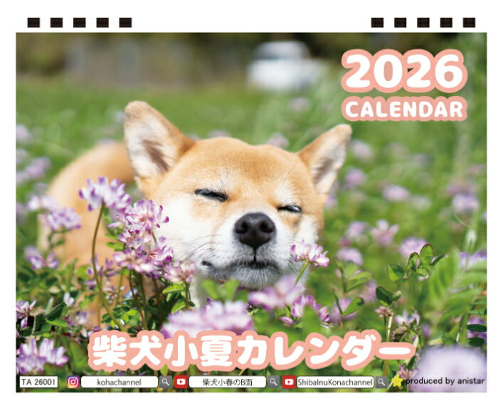 【予約販売】 柴犬 小夏 2026年 卓上 カレンダー TA26318