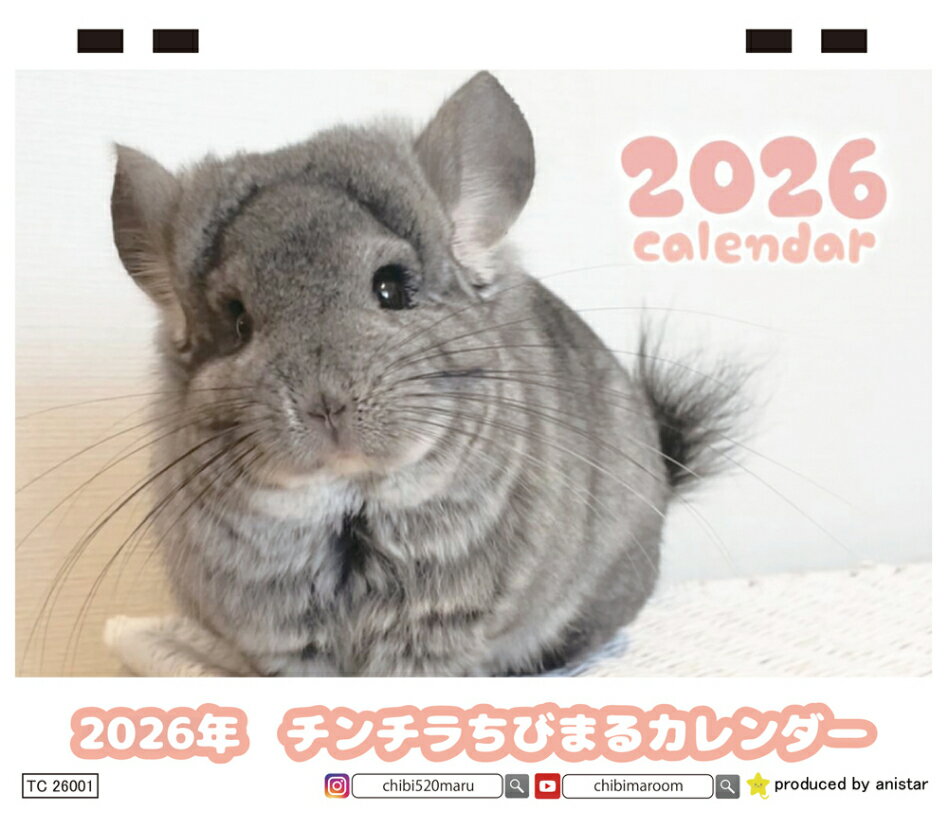 【予約販売】 チンチラちびまる 2026年 卓上 カレンダー TC26322