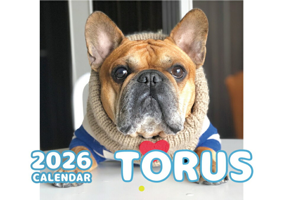 【予約販売】 フレンチブルドッグ torus トーラス 犬 2026年 壁掛け カレンダー KK26033