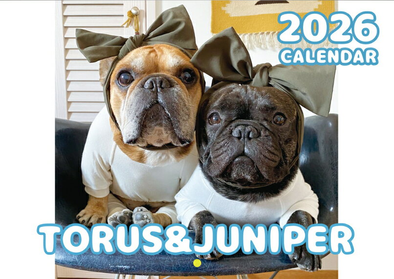 Rakuten - 【予約販売】 フレンチブルドッグ torus トーラス 犬 2026年 壁掛け カレンダー KK26034