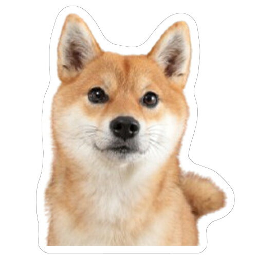 Rakuten - 【予約販売】 ラル＆アキ パグ 柴犬 ステッカー 3枚セット SU002NN