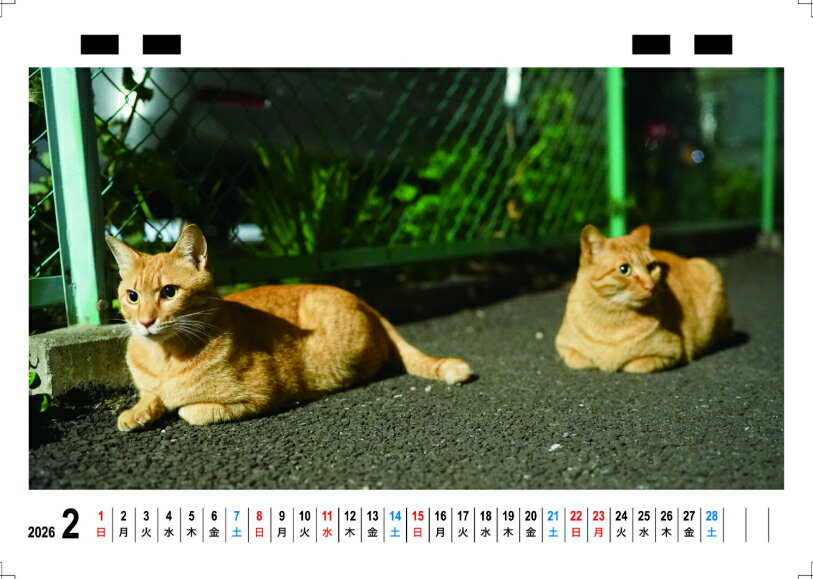 ��ͽ������� �ͤ����ޤ� ǭ 2026ǯ ��� �������� TC26050