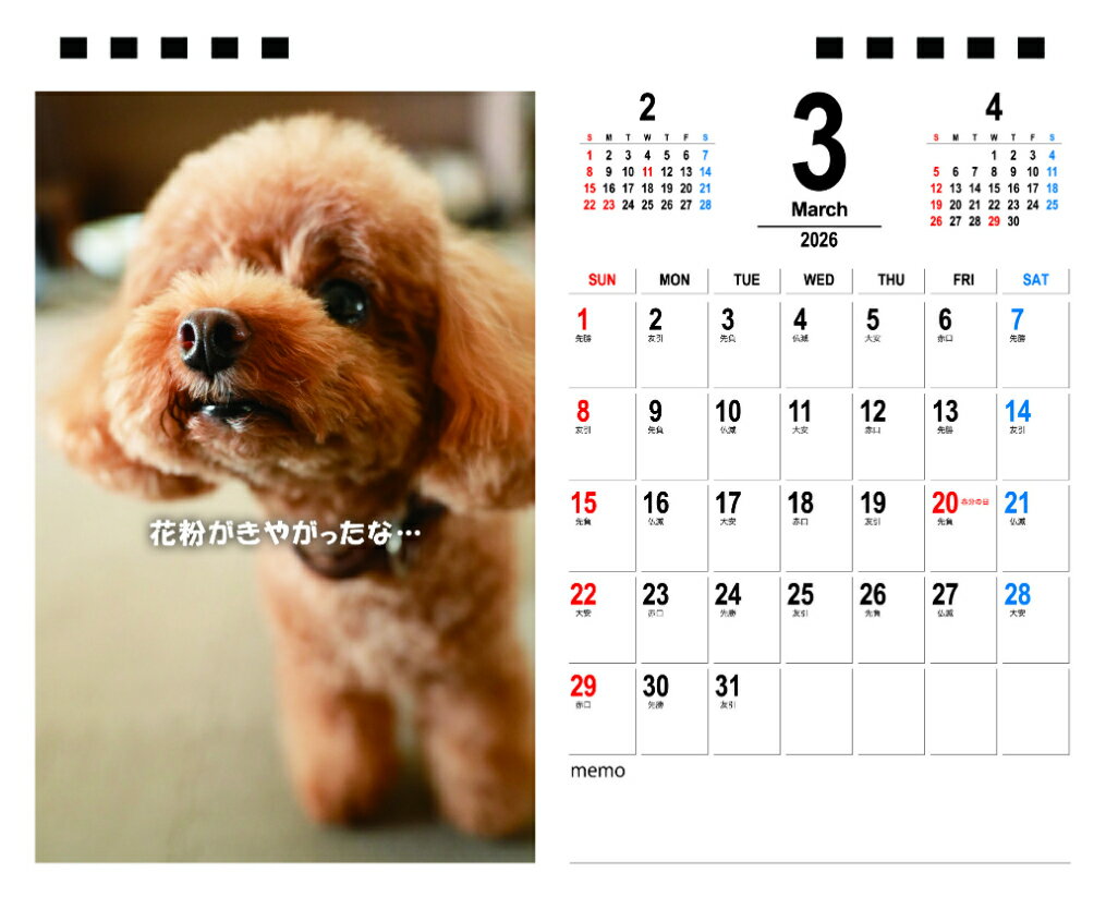 ��ͽ������� ����ꥢ �ȥ��ס��ɥ� �� 2026ǯ ��奫������ TA26064