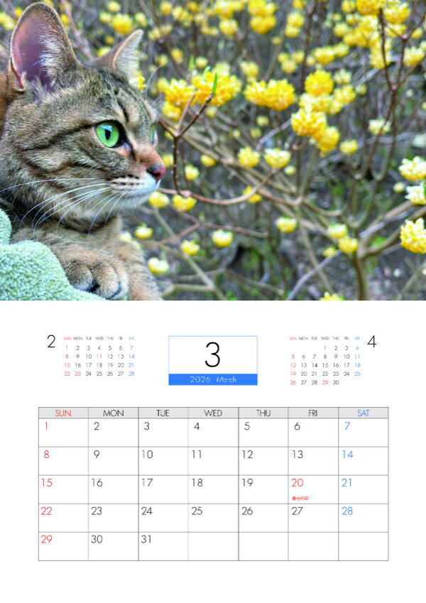 ��ͽ������� TENTEN ǭ 2026ǯ �ɳݤ��������� KK26067