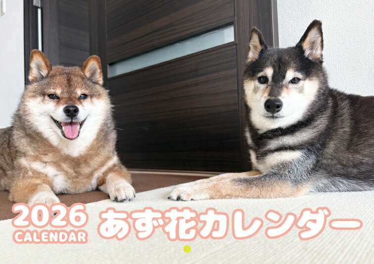【予約販売】 柴犬のあず花 2026年 壁掛け カレンダー KA26069