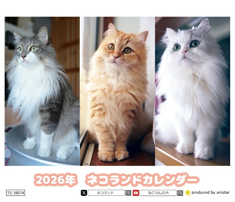 【予約販売】 ネコランド 猫 2026年 卓上 カレンダー TC26074