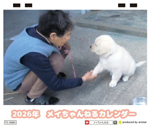 【予約販売】 ゴールデンレトリバー メイ 犬 2026年 卓上 カレンダー TC26080