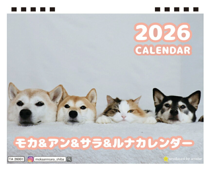 【予約販売】 柴犬 モカ＆アン＆サラ 2026年 卓上カレンダー TA26083