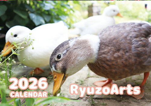 【予約販売】 Ryuzo Arts アヒル 2026年 壁掛けカレンダー KK26099