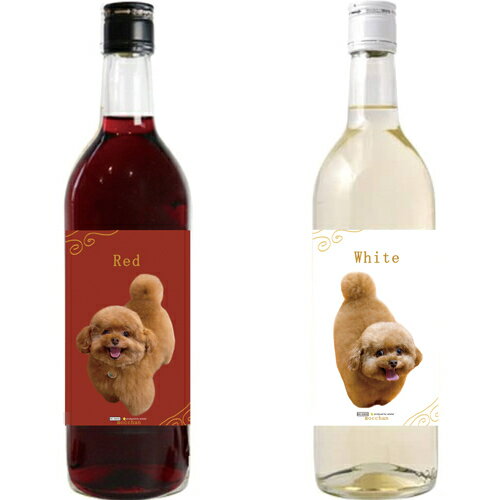 ͽ ä ȥסɥ  2026ǯ 磻 2ܥå 720ml 2W006NN