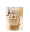 【予約販売】 うさぎのコガラナ天パのうさハムch 2025年 A5ノート帳 No25173