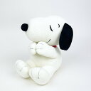 Xk[s[ ɃIX~ ʂ l` CeA SNOOPY