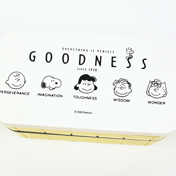 スヌーピー 抗菌 2段ランチボックス 弁当箱 PEANUTS 75th Anniversary SNOOPY 日本...
