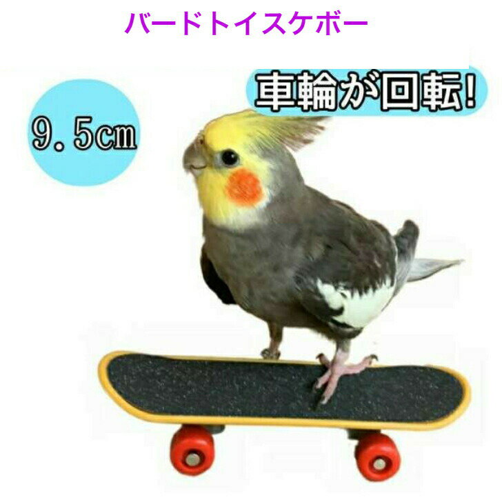 ミニスケボー 小鳥 小型 インコ バ