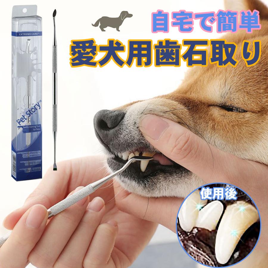 歯石取り 犬 猫 ペット用 スケーラ