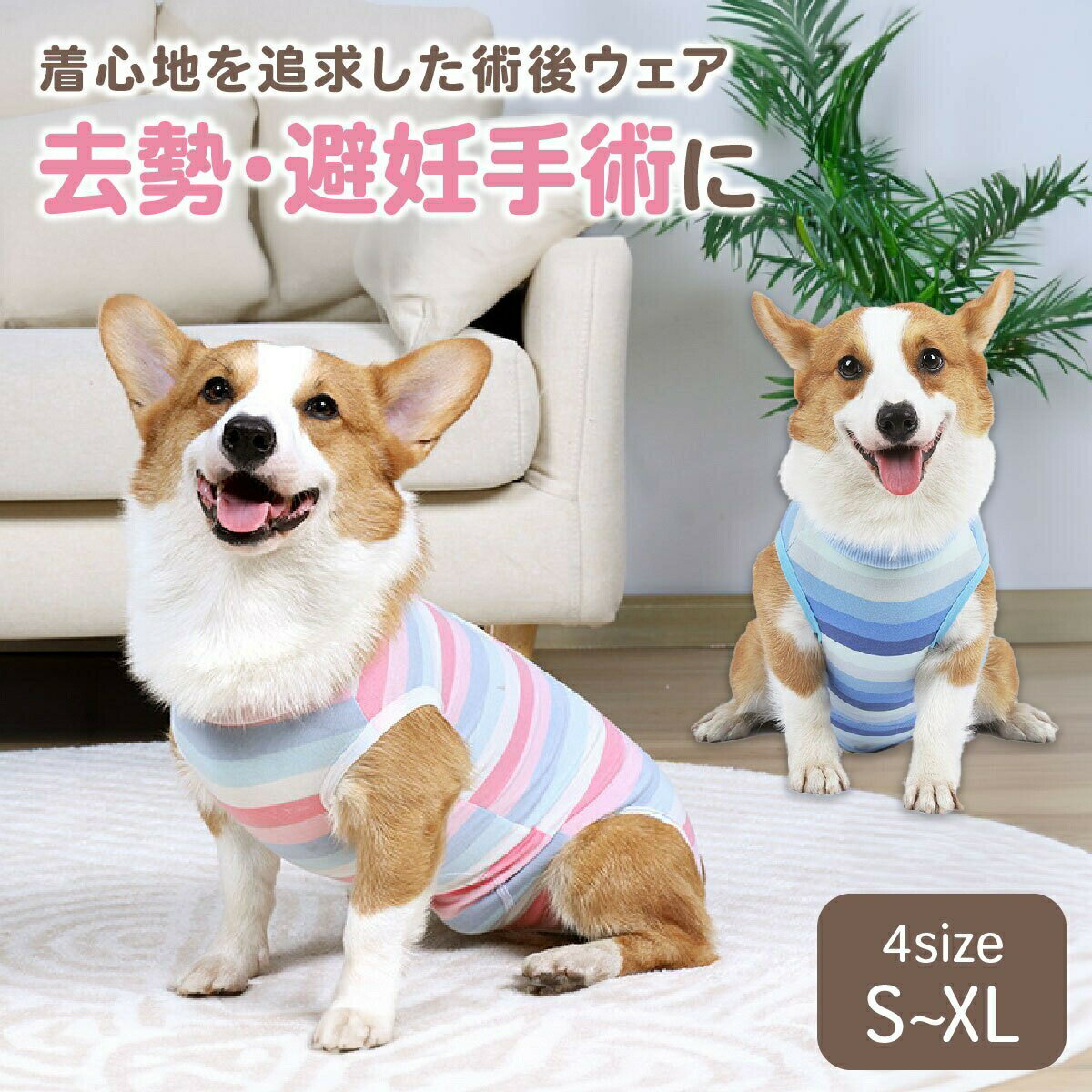 【ランキング入賞品】 【2枚で1850円！】犬 術後服 メス 犬用 手術着 エリザベス 猫 ウェア 犬用 オス 手術後 服 ボーダー 小型犬 中型犬用 ペット服 エリザベスカラー