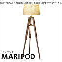 yMaripod/}|bhz 1 tACg LEDd gp _ Ɩ dC C rO Q 