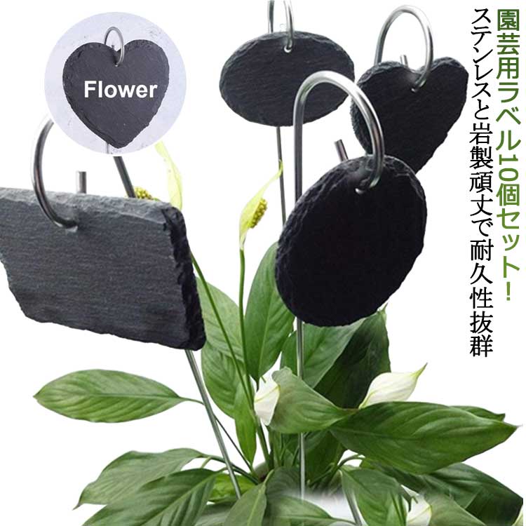 樂天商城 - プラン 盆栽 花屋 ガーデニング 植物タグ 黒 花壇 公園 ガーデニング ネームプレート ローズラベル 植物ラベル 鉢植え フラワー