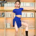 キッズダンス衣装 ラテンダンス衣装 レッスン着 セットアップ 半袖トップス フリンジスカート 女の子 ジュニア ラテンダンス 社交ダンス衣装 ステージ衣装 舞台演出服 発表会 演奏会 競技着 公演服 練習服 チャチャ タンゴ モダン ワルツ ステージ衣装 パーティー イベント