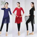 ダンス衣装 ダンスウエア レディース トップス 五分袖 半袖 スリット チュール ロング丈 切り替え クルーネック 踊り衣装 古典舞踊 クラシック舞踊 社交ダン...