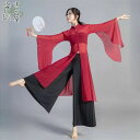 古典舞踊 ダンス衣装 レディース ダンスウエア 古典ダンス衣装 単品 中華風 チャイナ風 民族風 トップス 長袖 透け感 フレアスリーブ イレギュラー裾 スリッ...
