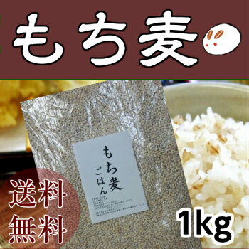 もち麦ごはん情報天国 もち麦ごはん情報天国