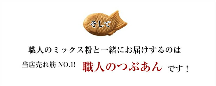 つぶあん（たい焼き用）10kgミックス粉10kg きのあん 2