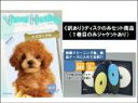 【バーゲンセール】全巻セット【中古】DVD▼【訳あり】Visual Healing トイプードル ディスクのみ(5枚セット)1、2、3、4、5 ケース無