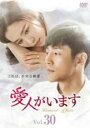 【中古】DVD▼愛人がいます 30(第59話、第60話) 字幕のみ レンタル落ち ケース無