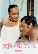 【バーゲンセール】【中古】DVD▼太