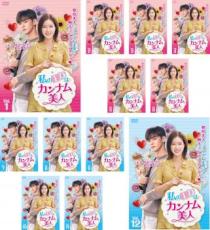 全巻セット【送料無料】【中古】DVD▼私のIDはカンナム美人(12枚セット)第1話〜第24話 最終 レンタル落..