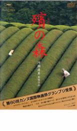 ����š�DVD���Ҥο� �⤬��Τ�� ��󥿥���� ������̵