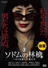 【バーゲンセール】【中古】DVD▼連続ドラマW ソドムの林檎 ロトを殺した娘たち 後篇 レンタル落ち ケース無