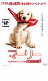 【中古】DVD▼マーリー 世界一おバカな犬が教えてくれたこと レンタル落ち ケース無