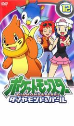 �ڥС����󥻡���ۡ���š�DVD���ݥ��åȥ�󥹥��� ���������&�ѡ��� 12 ��󥿥���� ������̵