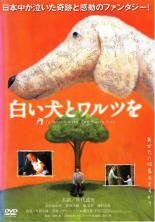 【中古】DVD▼【訳あり】白い犬とワ